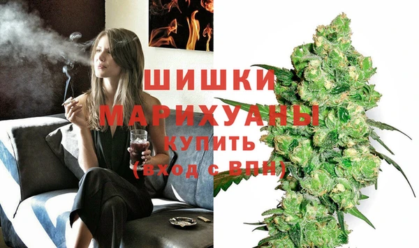 ПСИЛОЦИБИНОВЫЕ ГРИБЫ Балабаново