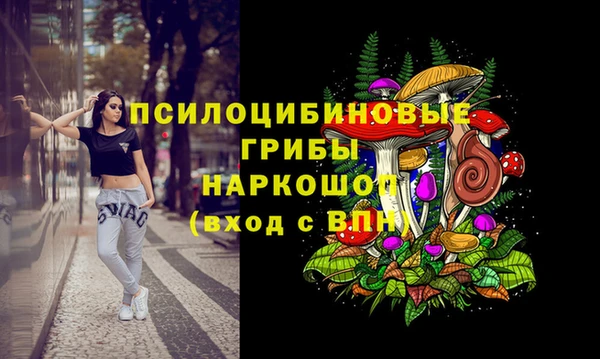 ПСИЛОЦИБИНОВЫЕ ГРИБЫ Балабаново